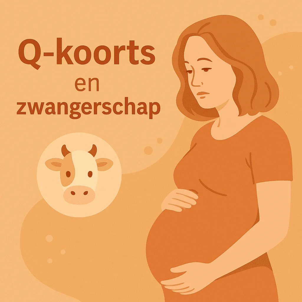 Q-koorts en zwangerschap: 7 belmomenten