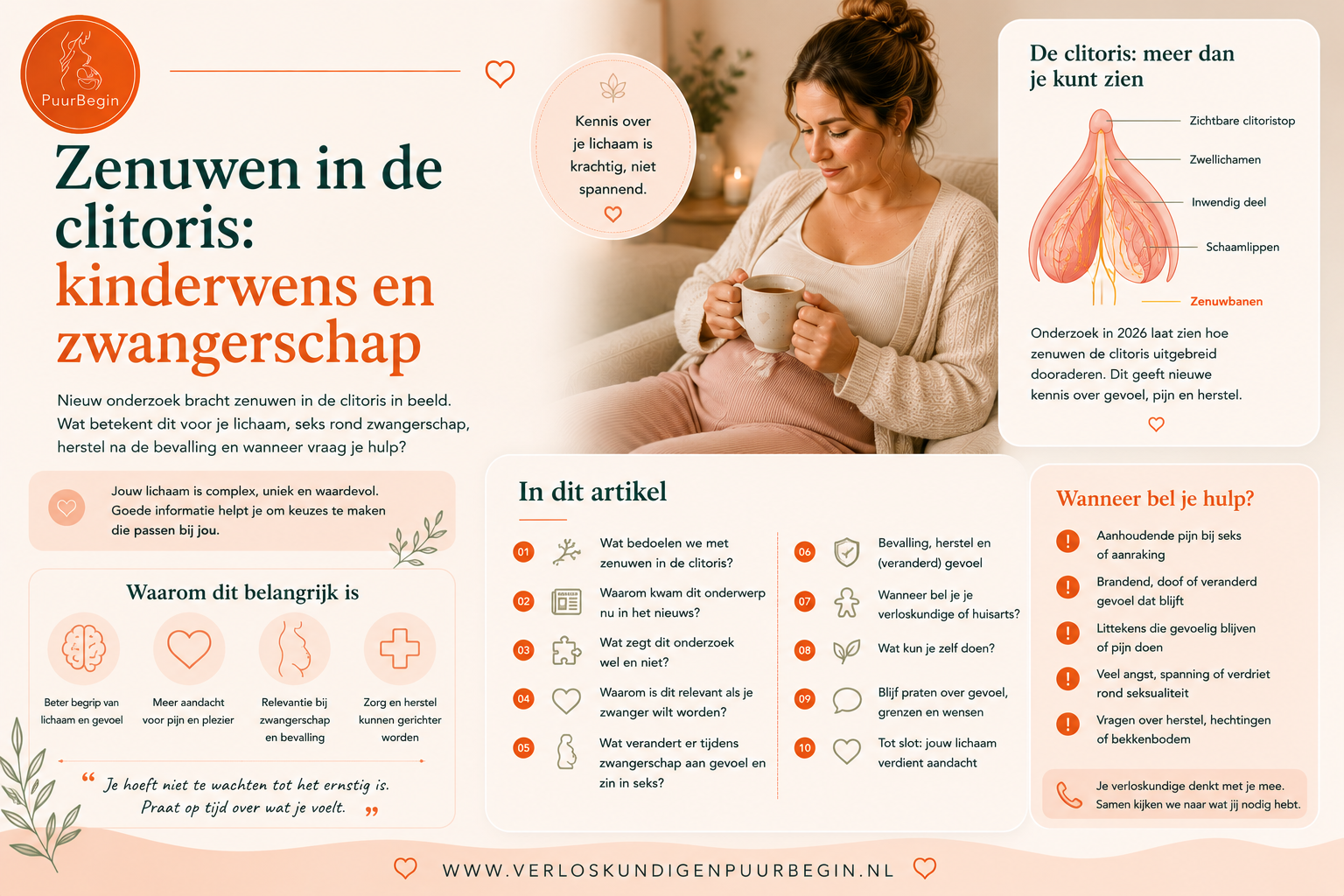 Zenuwen in de clitoris: kinderwens en zwangerschap