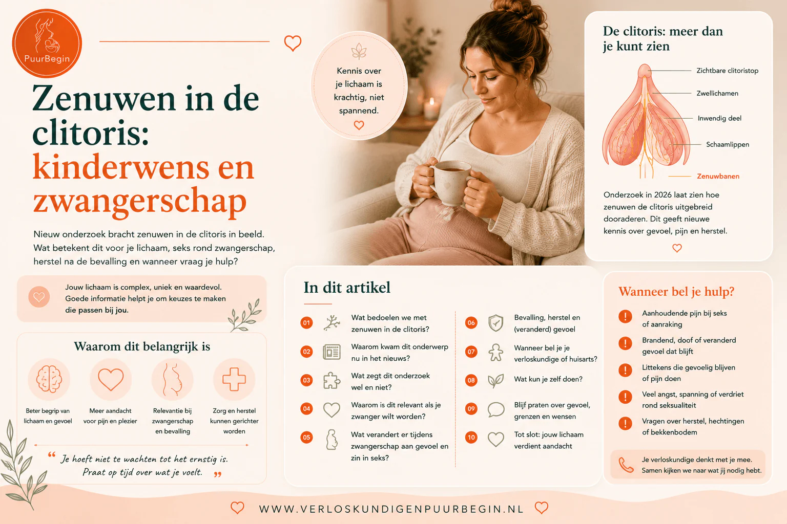 Zenuwen in de clitoris: kinderwens en zwangerschap