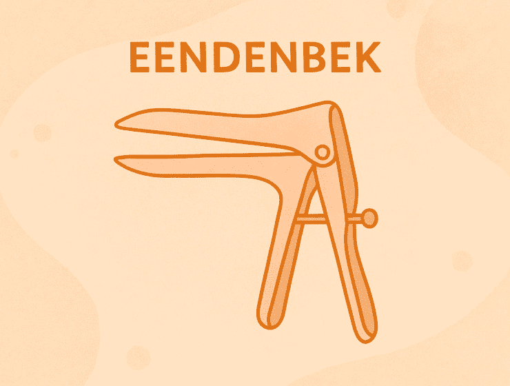 Eendenbek onderzoek - Verloskundige Kampen PuurBegin