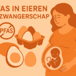 PFAS eieren en zwangerschap - Verloskundige Kampen PuurBegin
